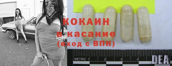 ПСИЛОЦИБИНОВЫЕ ГРИБЫ Ельня