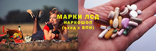 ПСИЛОЦИБИНОВЫЕ ГРИБЫ Ельня