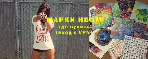 ПСИЛОЦИБИНОВЫЕ ГРИБЫ Ельня