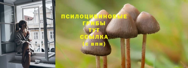ПСИЛОЦИБИНОВЫЕ ГРИБЫ Ельня