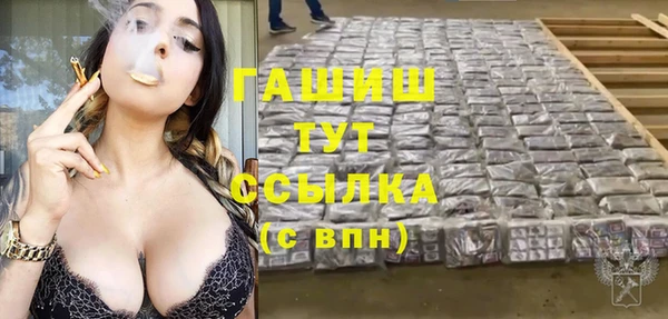 ПСИЛОЦИБИНОВЫЕ ГРИБЫ Ельня