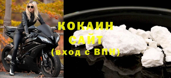 ПСИЛОЦИБИНОВЫЕ ГРИБЫ Ельня