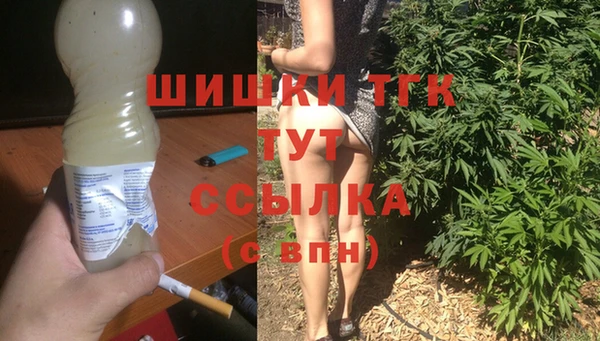 ПСИЛОЦИБИНОВЫЕ ГРИБЫ Ельня