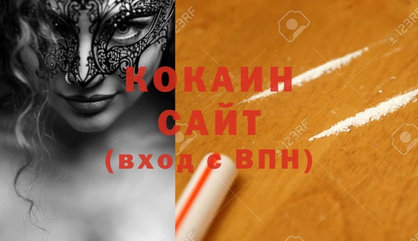 ПСИЛОЦИБИНОВЫЕ ГРИБЫ Ельня