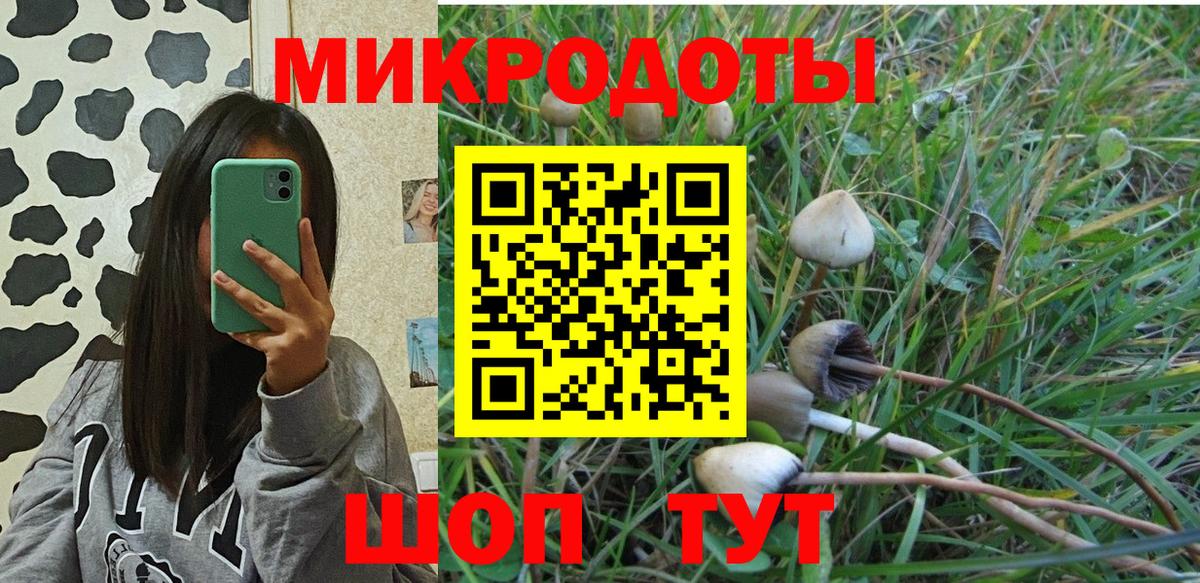 Псилоцибиновые грибы мухоморы Нерюнгри