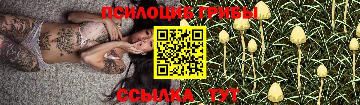 Нерюнгри  Бошки Шишки  A-PVP СК кристаллы  Купить  ТГК  Меф МЯУ МЯУ кристаллы  ГАШ 