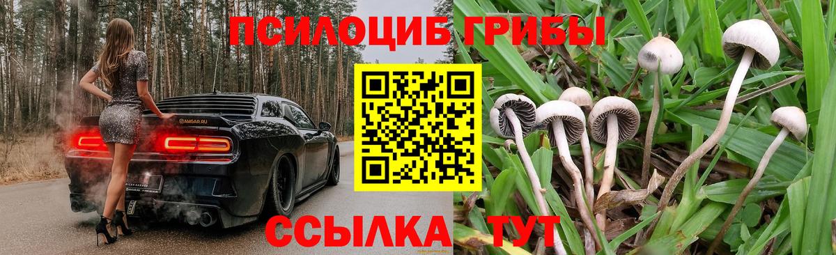 Галлюциногенные грибы ЛСД  Вход с VPN  Нерюнгри  Псилоцибиновые грибы GOLDEN TEACHER 