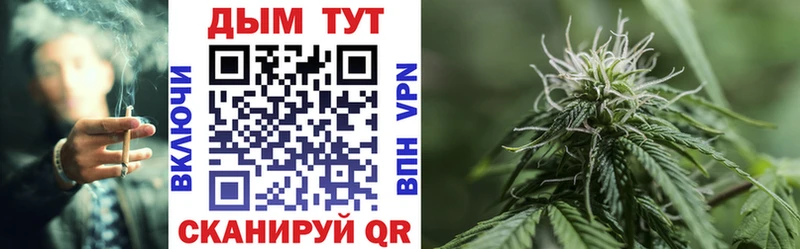 купить закладку Нерюнгри Конопля ГИДРОПОН